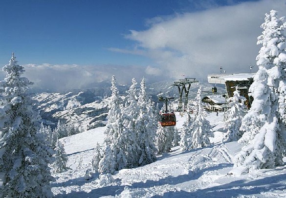 Snowboarding tips image